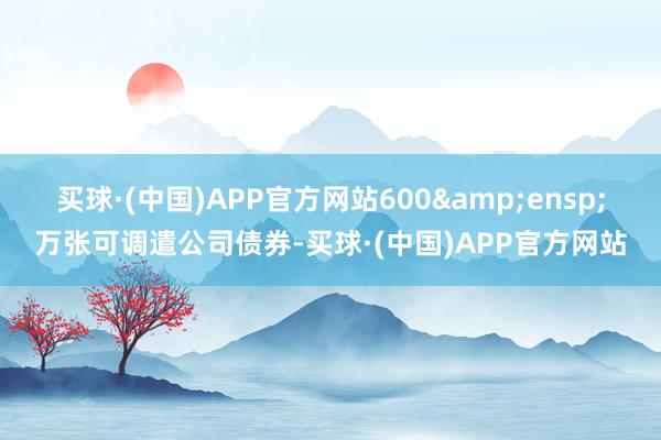 买球·(中国)APP官方网站600&ensp;万张可调遣公司债券-买球·(中国)APP官方网站