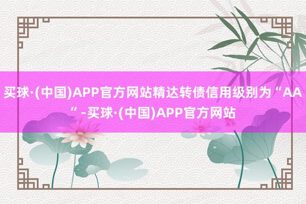 买球·(中国)APP官方网站精达转债信用级别为“AA”-买球·(中国)APP官方网站