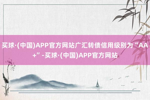 买球·(中国)APP官方网站广汇转债信用级别为“AA+”-买球·(中国)APP官方网站