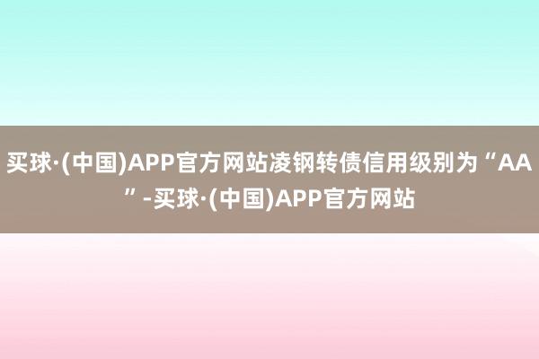 买球·(中国)APP官方网站凌钢转债信用级别为“AA”-买球·(中国)APP官方网站