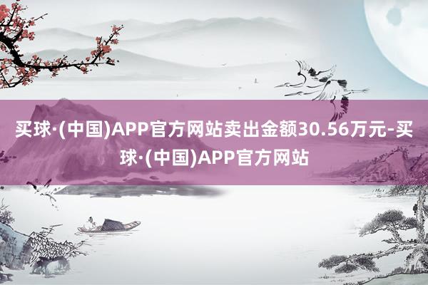 买球·(中国)APP官方网站卖出金额30.56万元-买球·(中国)APP官方网站