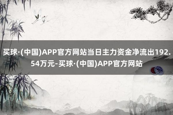 买球·(中国)APP官方网站当日主力资金净流出192.54万元-买球·(中国)APP官方网站