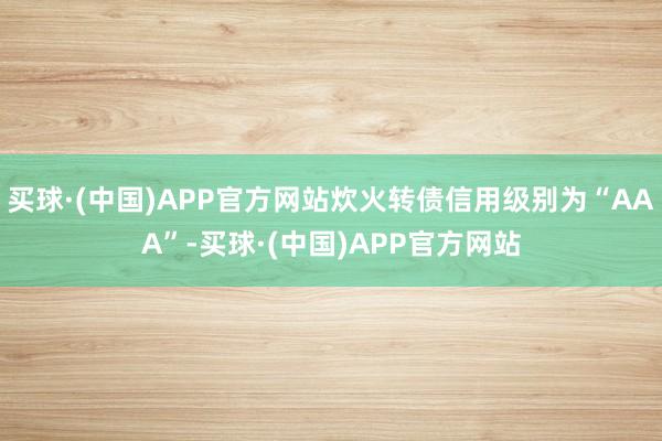 买球·(中国)APP官方网站炊火转债信用级别为“AAA”-买球·(中国)APP官方网站