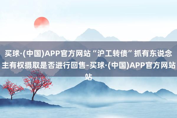 买球·(中国)APP官方网站“沪工转债”抓有东说念主有权摄取是否进行回售-买球·(中国)APP官方网站