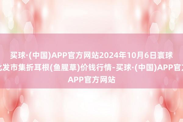 买球·(中国)APP官方网站2024年10月6日寰球主要批发市集折耳根(鱼腥草)价钱行情-买球·(中国)APP官方网站