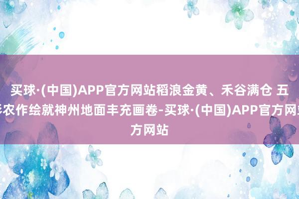 买球·(中国)APP官方网站稻浪金黄、禾谷满仓 五彩农作绘就神州地面丰充画卷-买球·(中国)APP官方网站