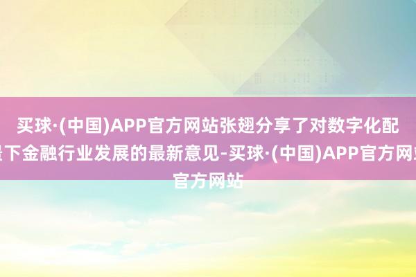 买球·(中国)APP官方网站张翅分享了对数字化配景下金融行业发展的最新意见-买球·(中国)APP官方网站