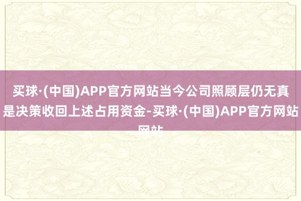 买球·(中国)APP官方网站当今公司照顾层仍无真是决策收回上述占用资金-买球·(中国)APP官方网站