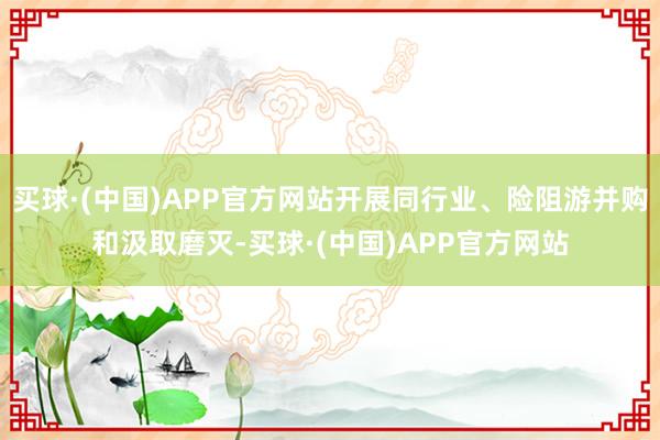 买球·(中国)APP官方网站开展同行业、险阻游并购和汲取磨灭-买球·(中国)APP官方网站