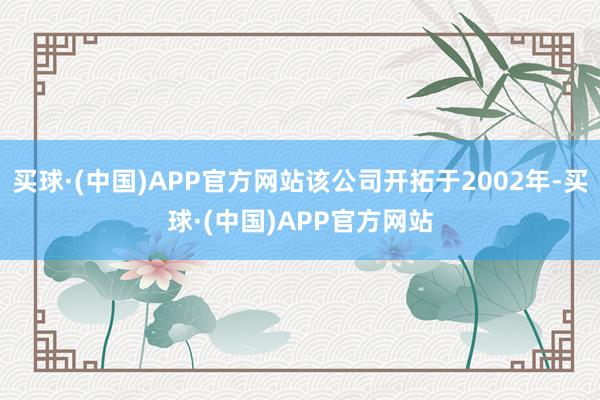 买球·(中国)APP官方网站该公司开拓于2002年-买球·(中国)APP官方网站