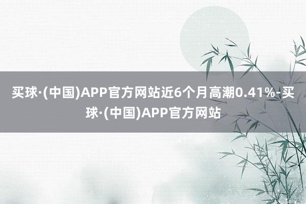 买球·(中国)APP官方网站近6个月高潮0.41%-买球·(中国)APP官方网站