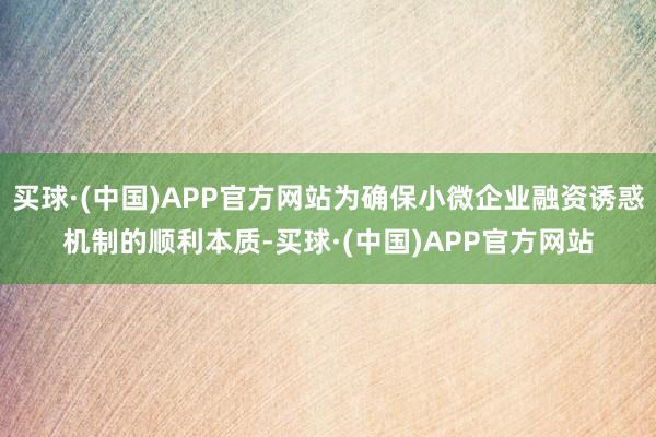 买球·(中国)APP官方网站为确保小微企业融资诱惑机制的顺利本质-买球·(中国)APP官方网站