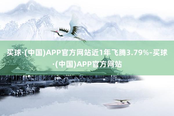 买球·(中国)APP官方网站近1年飞腾3.79%-买球·(中国)APP官方网站